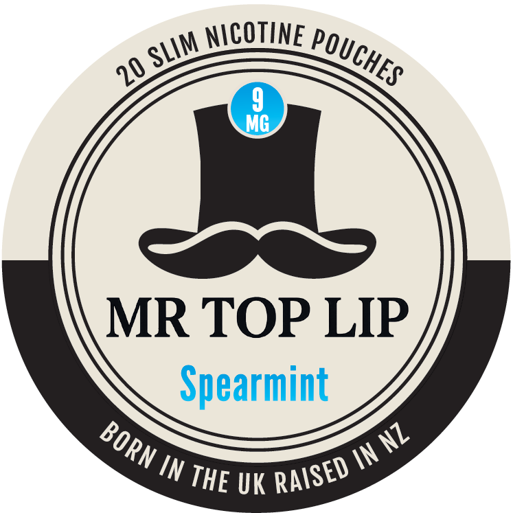 Mr Top Lip Spearmint 9mg