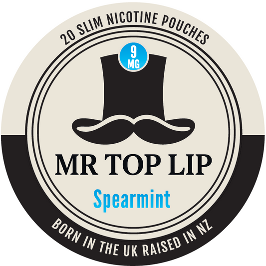 Mr Top Lip Spearmint 9mg